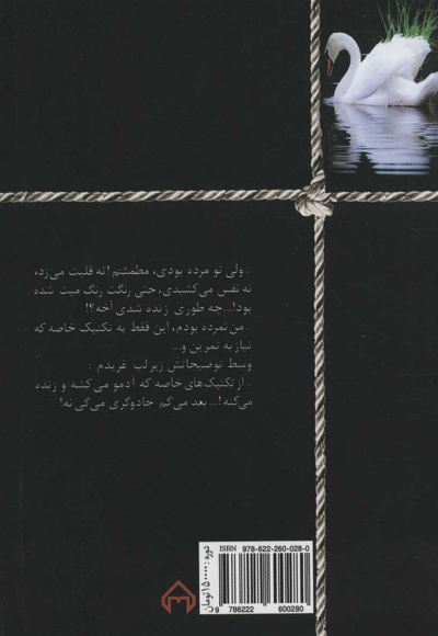 در پس نقاب